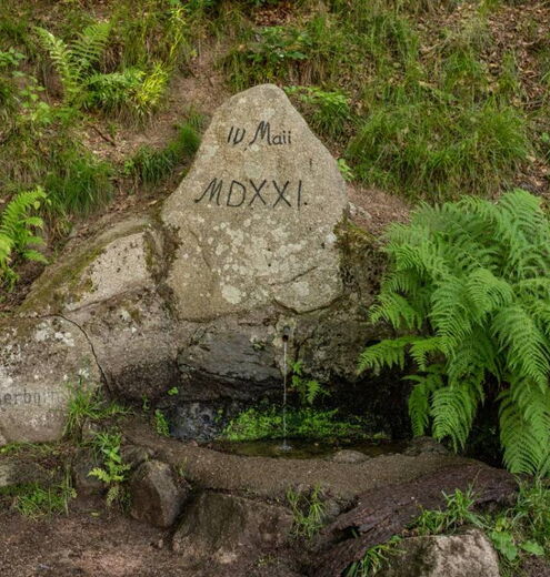 Lutherborn am Lutherdenkmal im Glasbachgrund