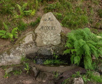 Lutherborn am Lutherdenkmal im Glasbachgrund